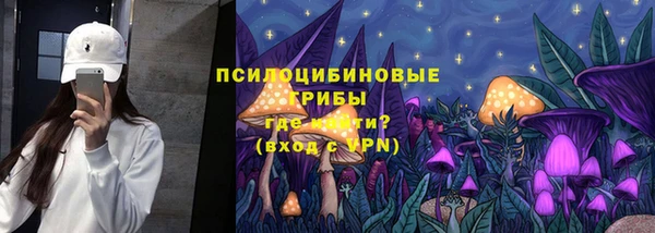 гидропоника Сатка