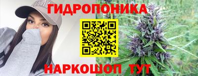 не бодяженный Кингисепп