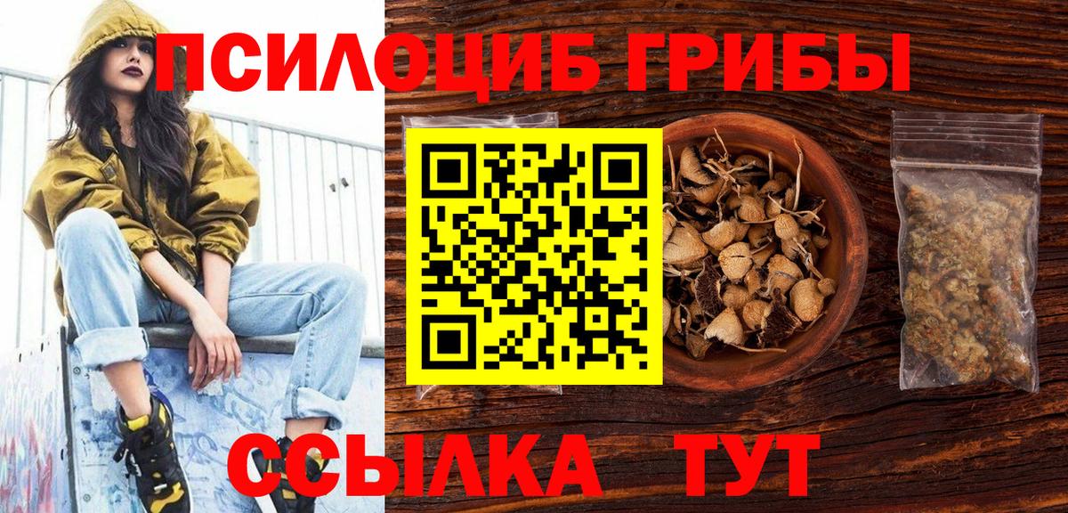 хочу   Вход с VPN  Лесной  Псилоцибиновые грибы Psilocybine cubensis 